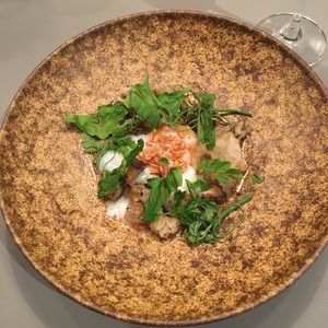 Meet your Posher, Dylan